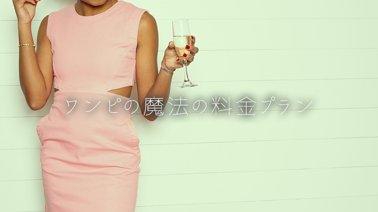 ワンピの魔法の料金プラン